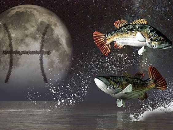 Zodiaque-poissons.jpg