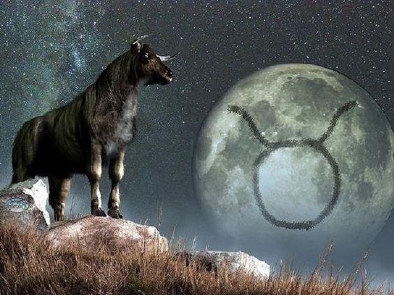 Zodiaque-taureau.jpg
